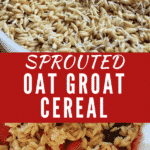 Sprouted Oat Groat Cereal