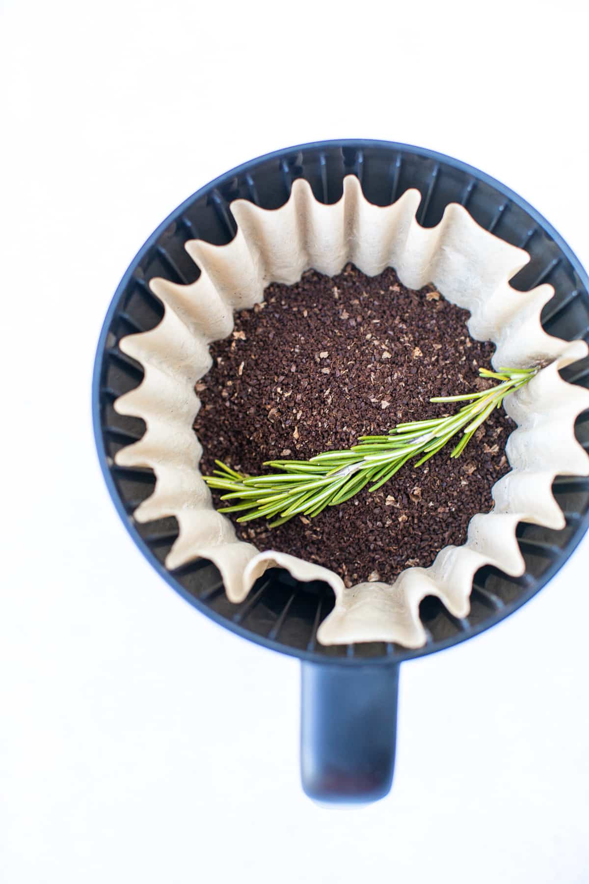 coffee filter with a sprig of fresh rosemary on top of coffee grounds