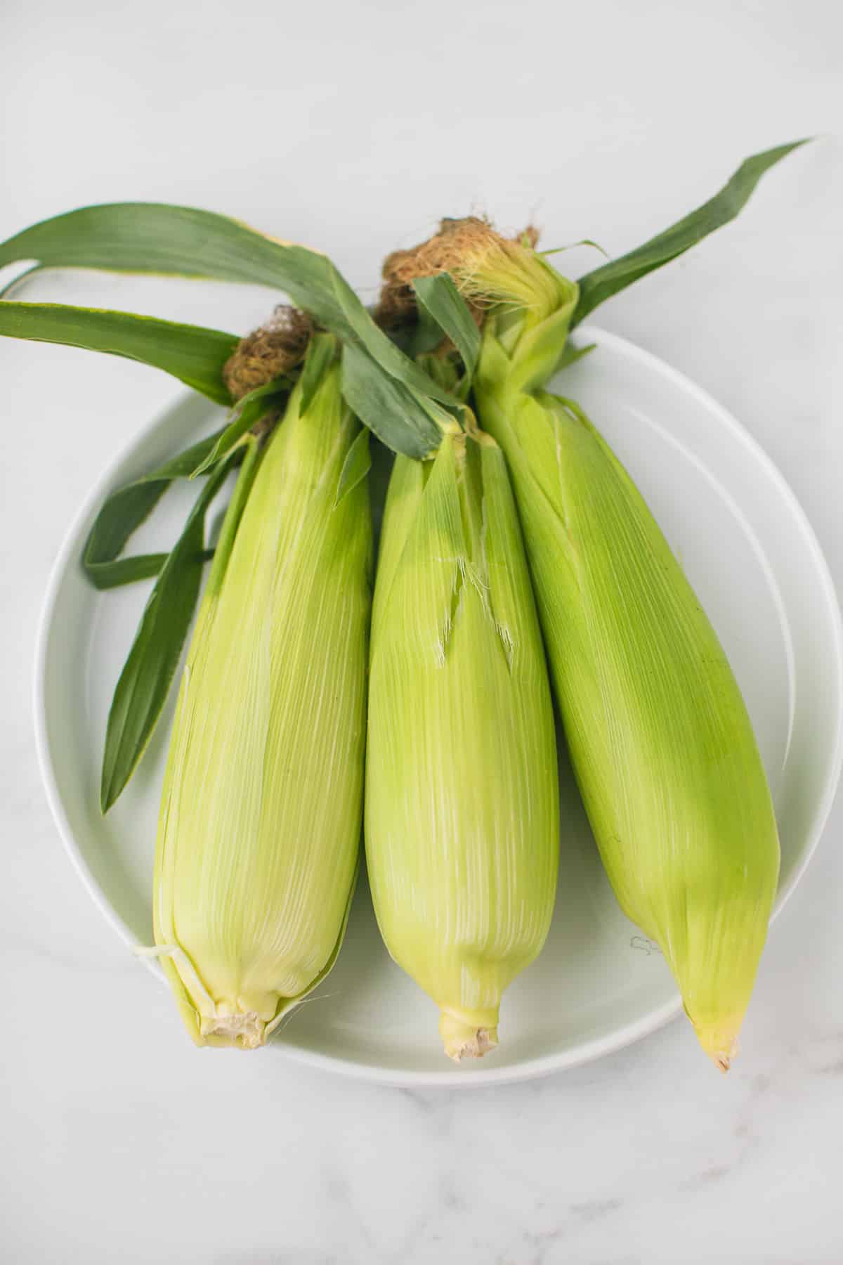 three pieces of corn on a plate with the husks on.