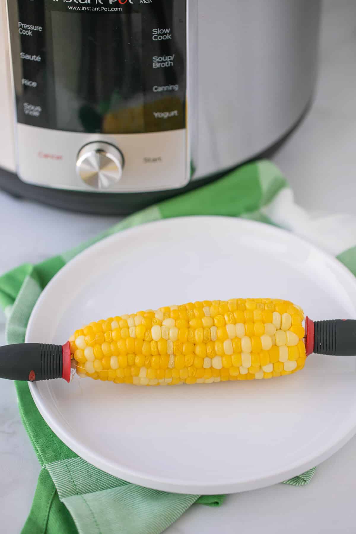 corn on the cob with holders on the ends.