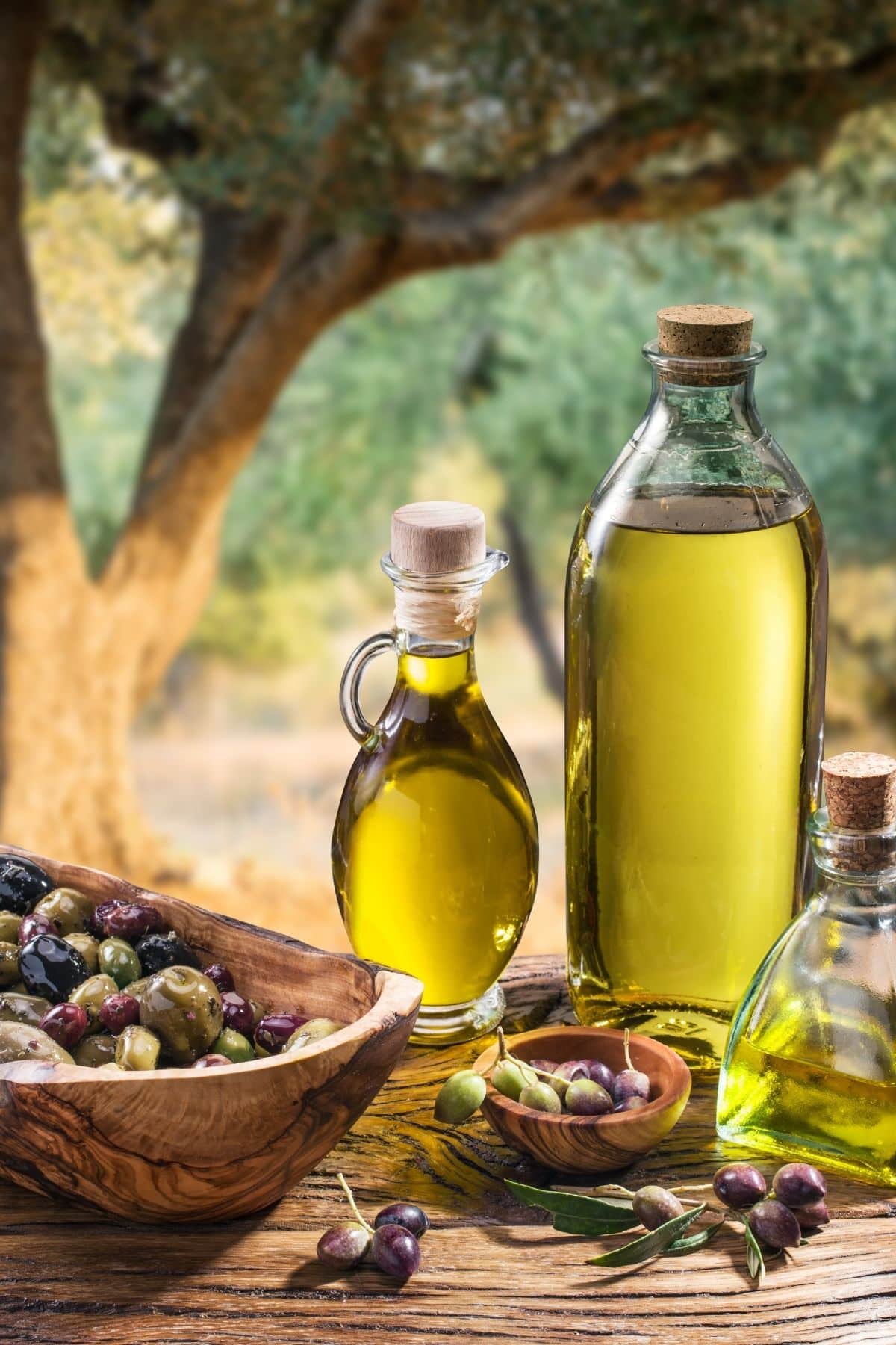 jars of olive oil on a picnic table with fresh olives