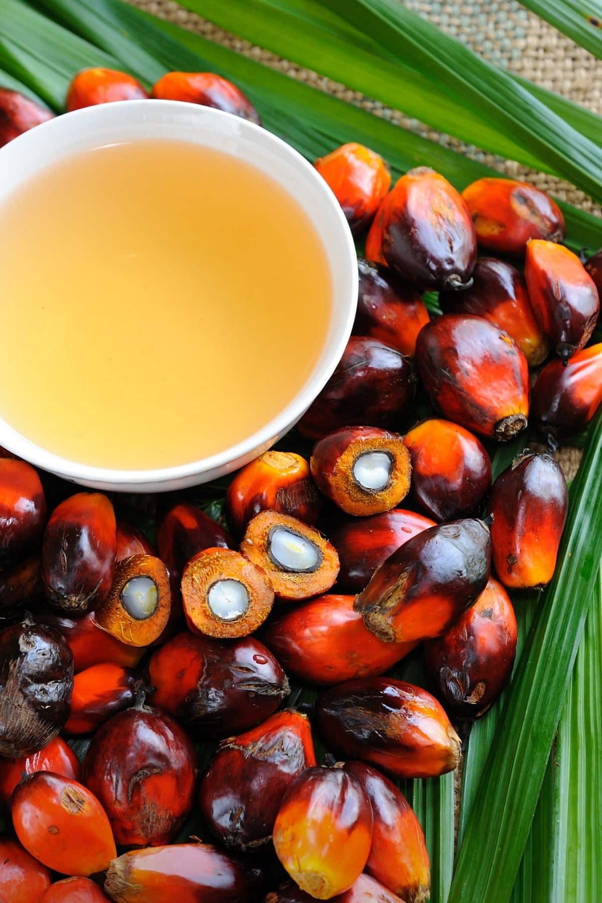 red palm oil on a table with fresh palm kernels