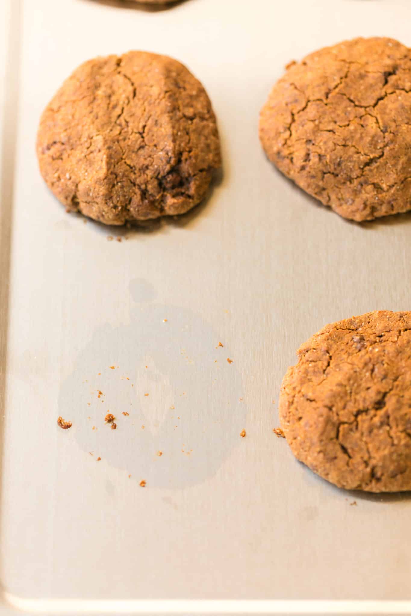 molasses cookies cooling on a stainless steel baking sheet.