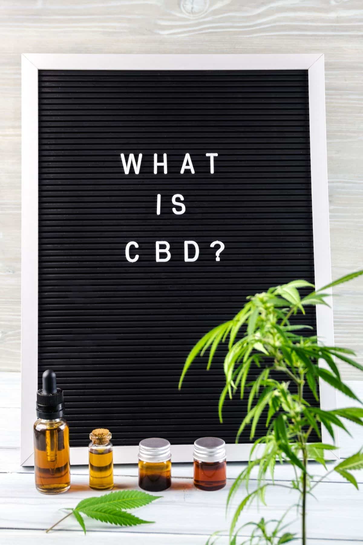 photo with a sign that says what is CBD?