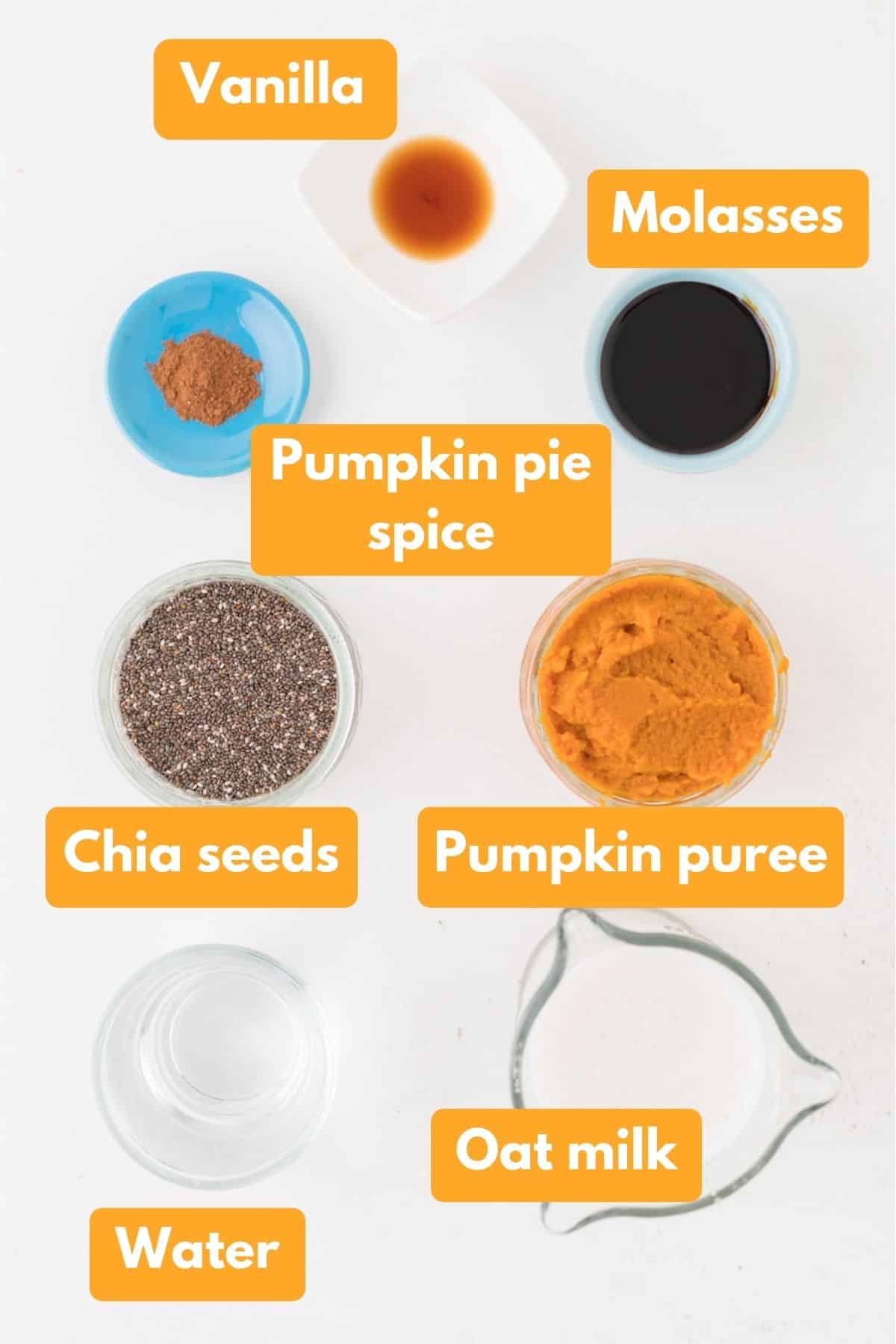 Ingredients for pumpkin spice chia pudding.