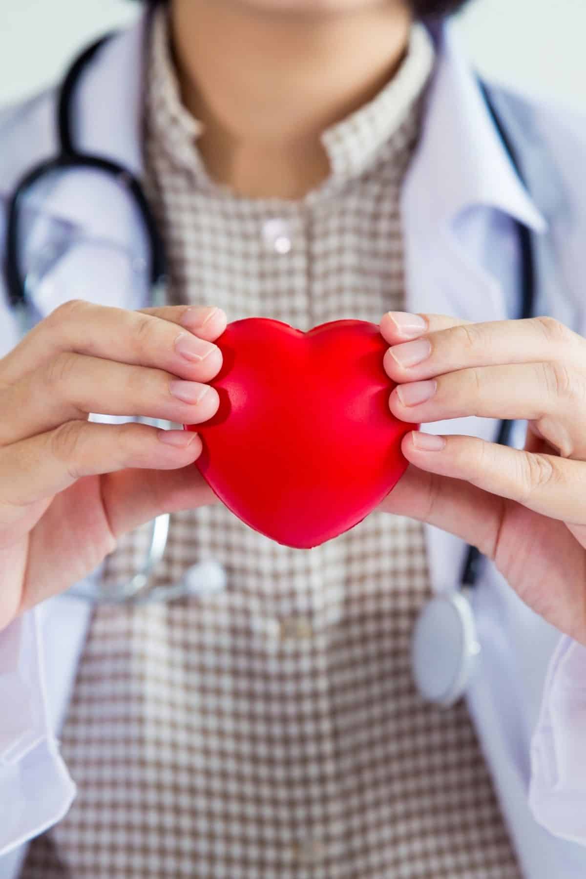 doctor holding a heart shaped item.