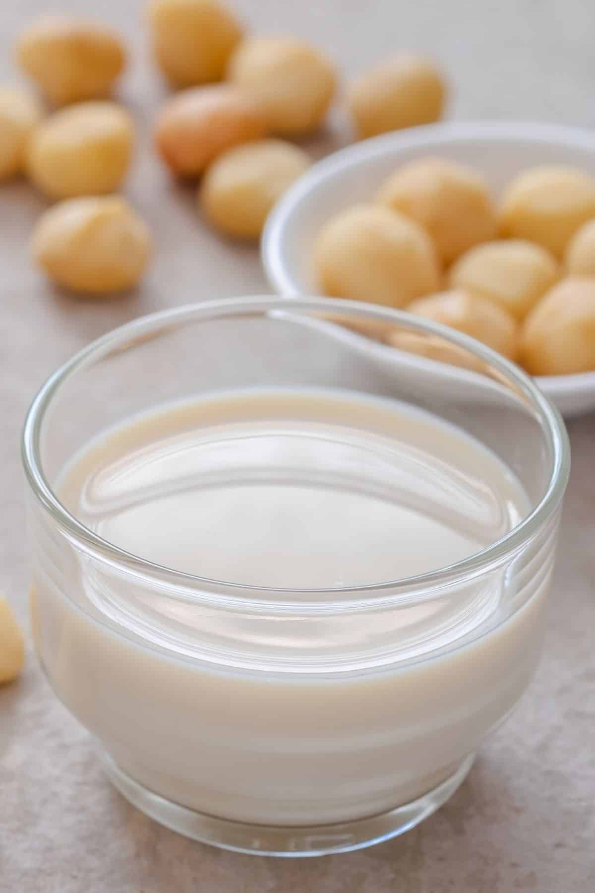 glass of macadamia milk on a table with fresh nuts.