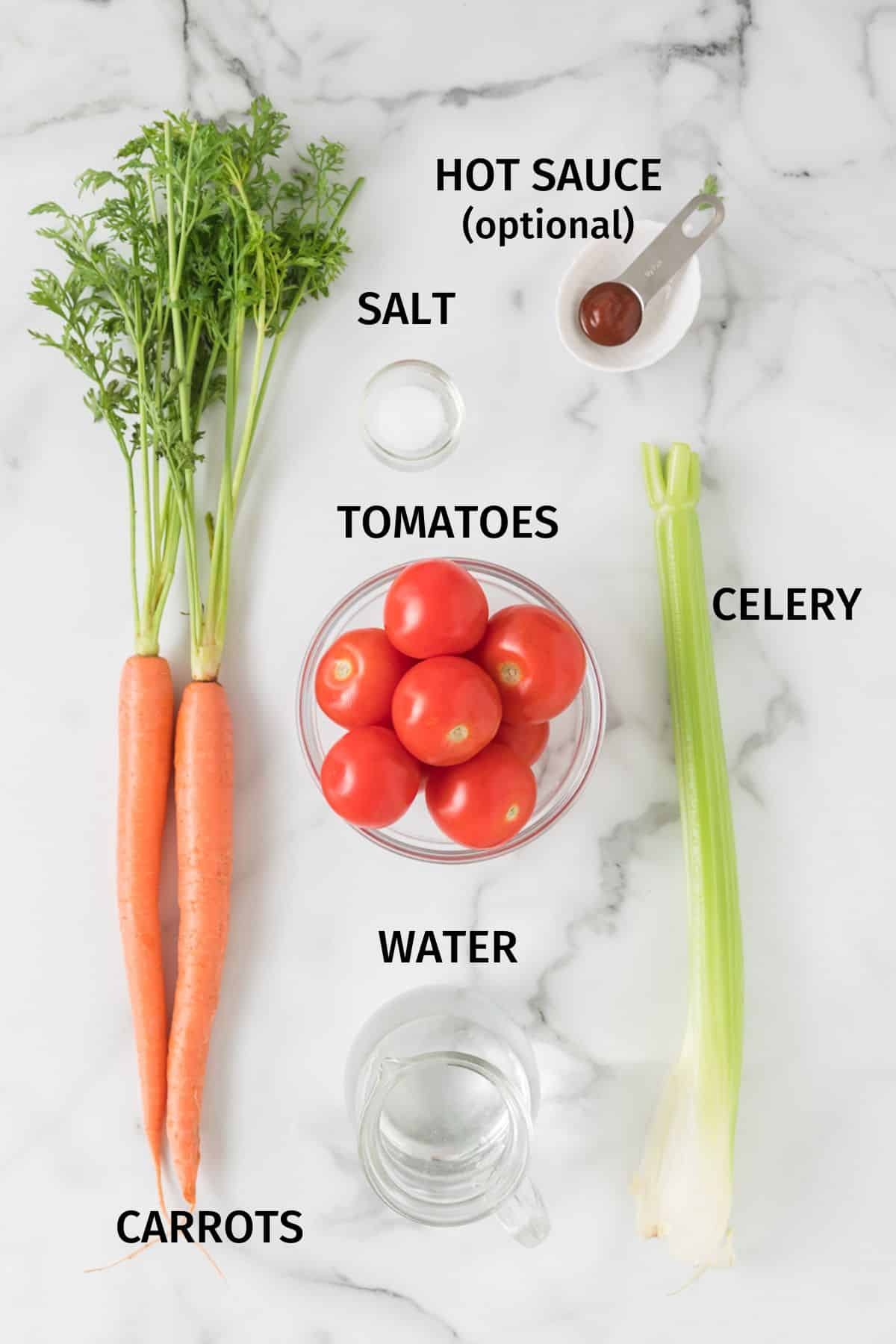 Ingredients to make tomato juice on a white surface.