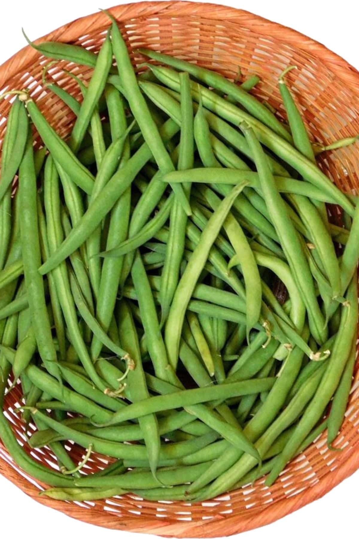 A basket filled with fresh green beans.