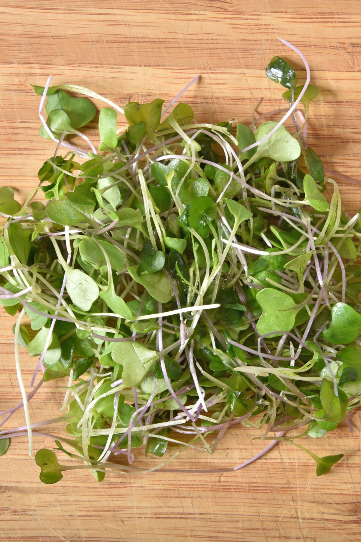 a bunch of kale microgreens on a wooden cutting board.