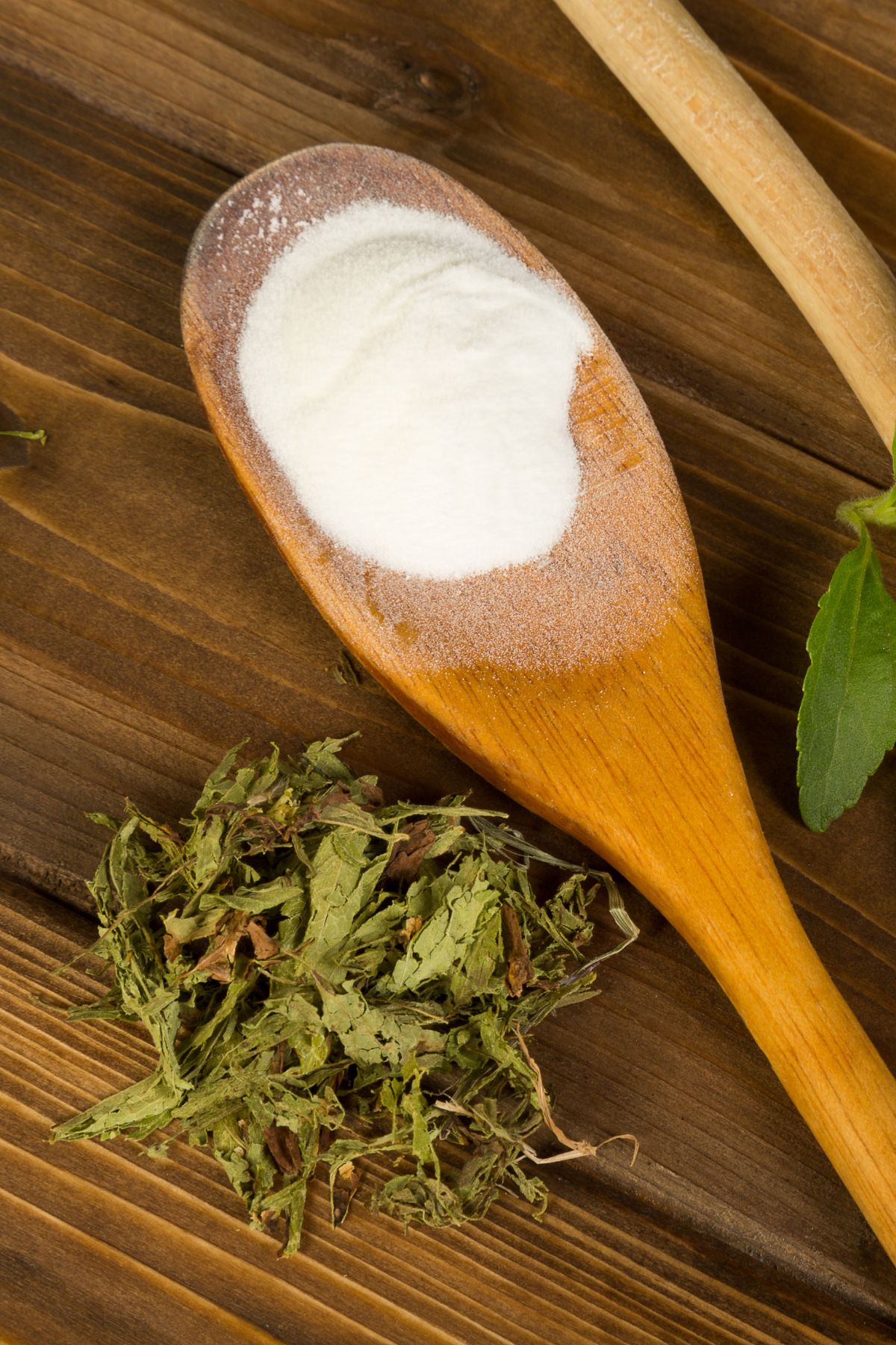 a wooden spoon full of stevia next to dried stevia leaves.