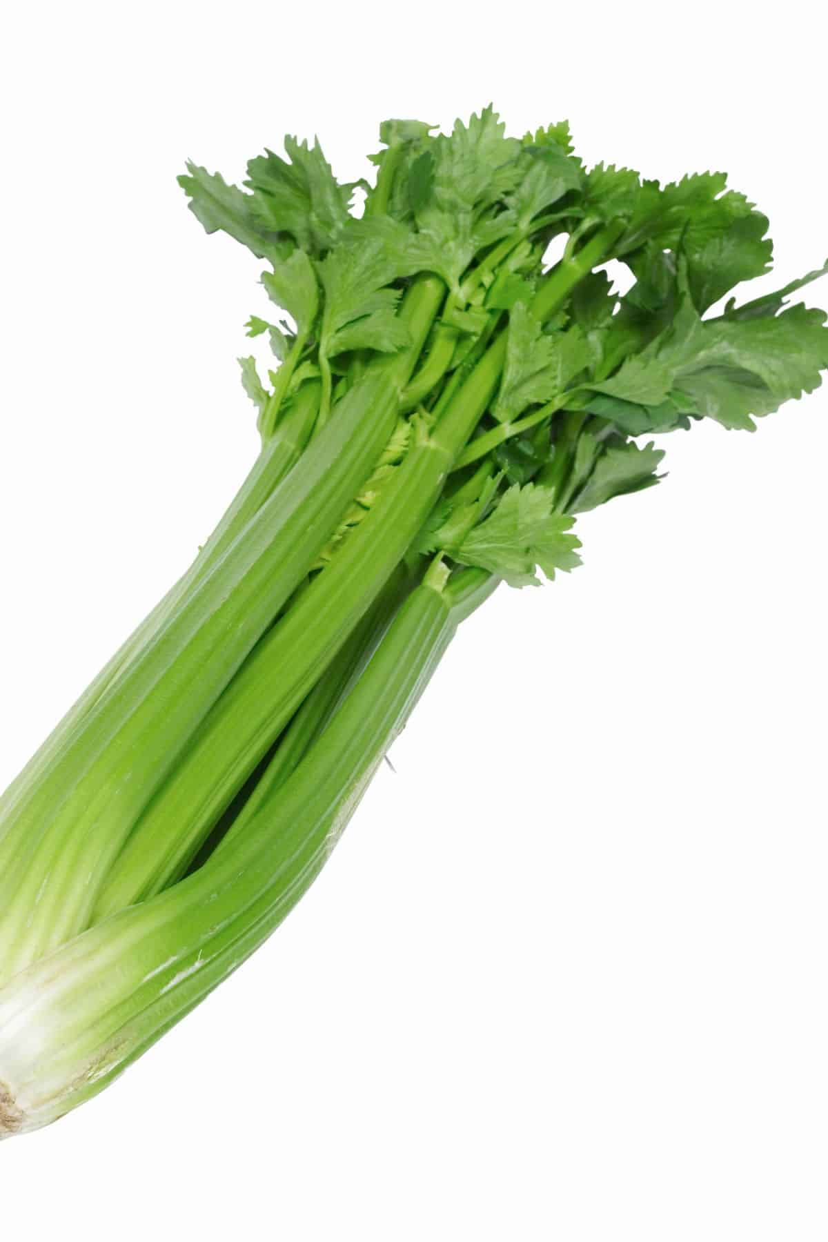 photo of celery on table.